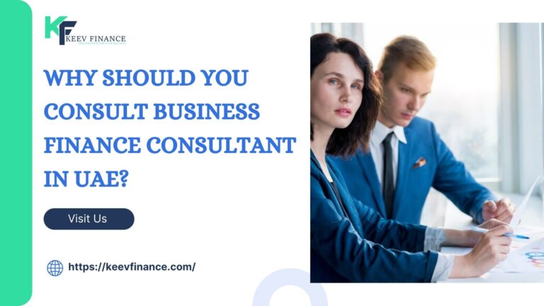 Why Should You Consult Business Finance Consultant in UAE?